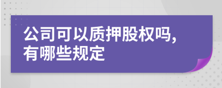公司可以質(zhì)押股權(quán)嗎,有哪些規(guī)定