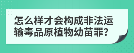 怎么樣才會(huì)構(gòu)成非法運(yùn)輸毒品原植物幼苗罪？