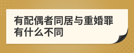 有配偶者同居與重婚罪有什么不同