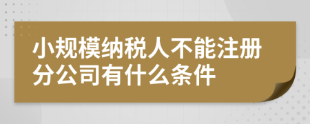 小規(guī)模納稅人不能注冊分公司有什么條件