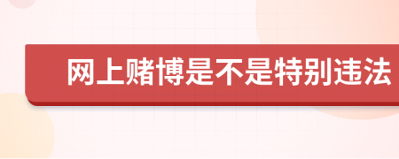 網(wǎng)上賭博是不是特別違法
