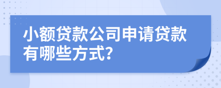 小額貸款公司申請貸款有哪些方式？