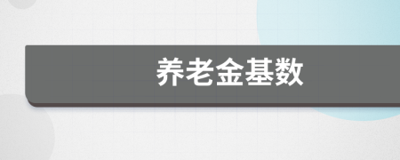 養(yǎng)老金基數(shù)