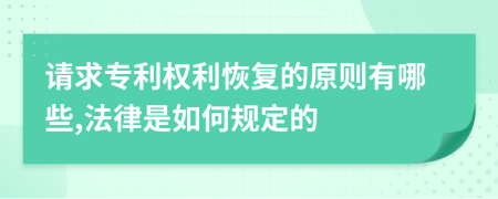 請求專利權(quán)利恢復的原則有哪些,法律是如何規(guī)定的