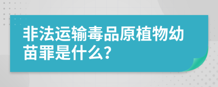 非法運輸毒品原植物幼苗罪是什么？
