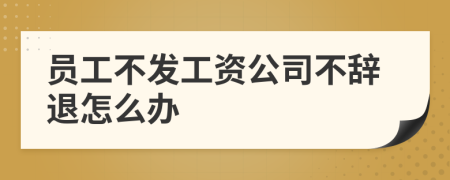 員工不發(fā)工資公司不辭退怎么辦