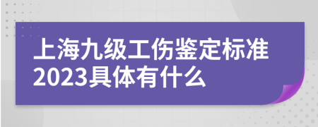 上海九級工傷鑒定標(biāo)準(zhǔn)2023具體有什么