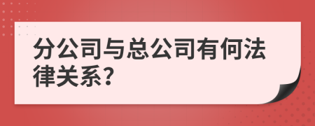 分公司與總公司有何法律關(guān)系？