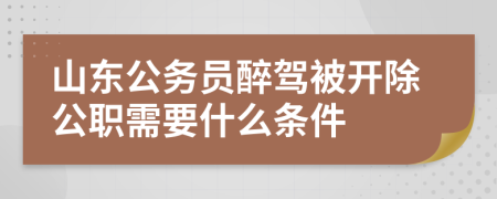 山東公務(wù)員醉駕被開(kāi)除公職需要什么條件