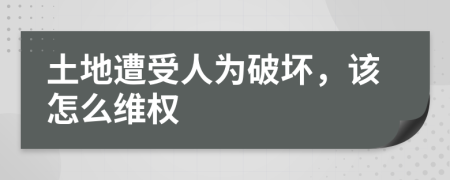 土地遭受人為破壞，該怎么維權(quán)