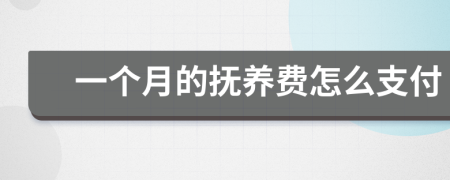 一個(gè)月的撫養(yǎng)費(fèi)怎么支付