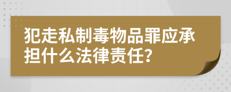 犯走私制毒物品罪應(yīng)承擔(dān)什么法律責(zé)任？