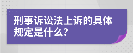 刑事訴訟法上訴的具體規(guī)定是什么？