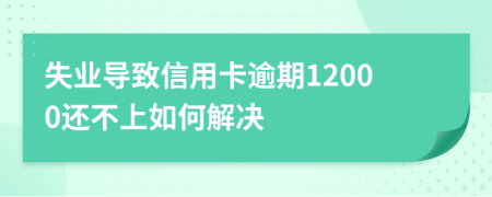 失業(yè)導(dǎo)致信用卡逾期12000還不上如何解決