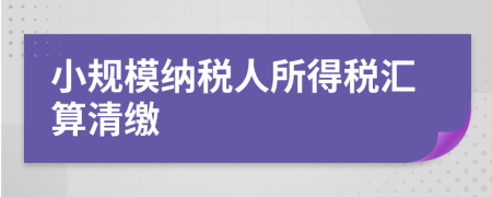 小規(guī)模納稅人所得稅匯算清繳