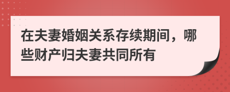 在夫妻婚姻關系存續(xù)期間，哪些財產(chǎn)歸夫妻共同所有