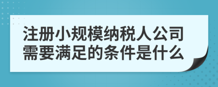 注冊小規(guī)模納稅人公司需要滿足的條件是什么