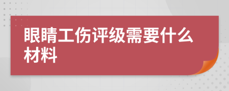 眼睛工傷評級需要什么材料