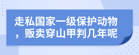 走私國(guó)家一級(jí)保護(hù)動(dòng)物，販賣(mài)穿山甲判幾年呢