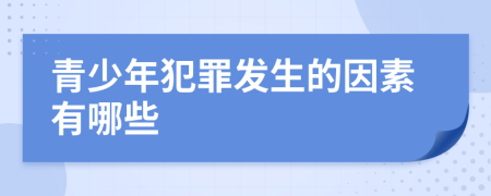 青少年犯罪發(fā)生的因素有哪些