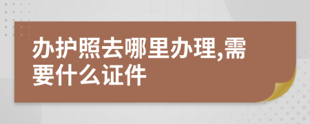辦護(hù)照去哪里辦理,需要什么證件