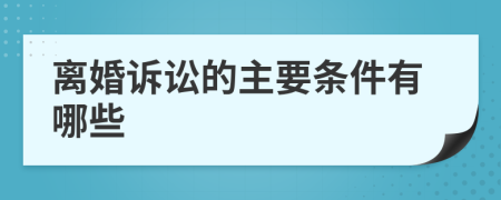 離婚訴訟的主要條件有哪些