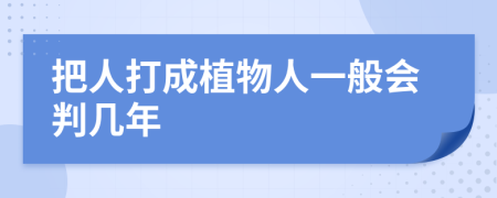 把人打成植物人一般會判幾年