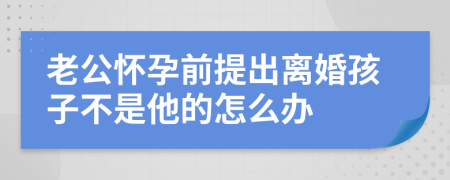 老公懷孕前提出離婚孩子不是他的怎么辦