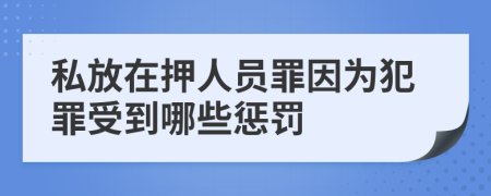 私放在押人員罪因為犯罪受到哪些懲罰