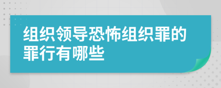 組織領(lǐng)導恐怖組織罪的罪行有哪些