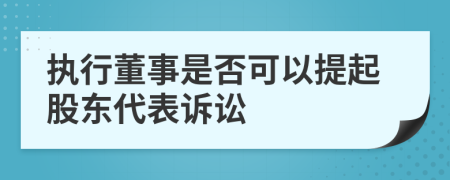 執(zhí)行董事是否可以提起股東代表訴訟