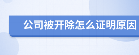 公司被開(kāi)除怎么證明原因