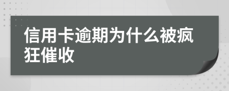 信用卡逾期為什么被瘋狂催收