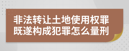 非法轉(zhuǎn)讓土地使用權(quán)罪既遂構(gòu)成犯罪怎么量刑