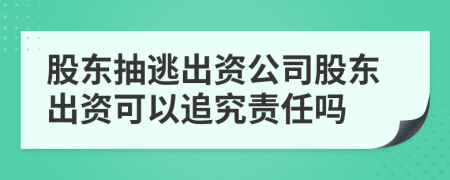 股東抽逃出資公司股東出資可以追究責任嗎