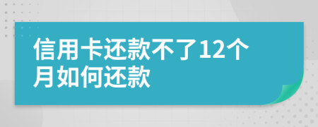 信用卡還款不了12個月如何還款