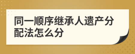 同一順序繼承人遺產(chǎn)分配法怎么分