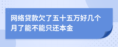網(wǎng)絡(luò)貸款欠了五十五萬好幾個月了能不能只還本金