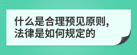 什么是合理預(yù)見原則,法律是如何規(guī)定的