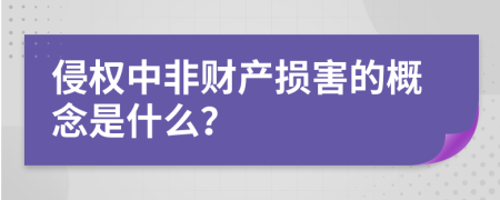 侵權(quán)中非財(cái)產(chǎn)損害的概念是什么？