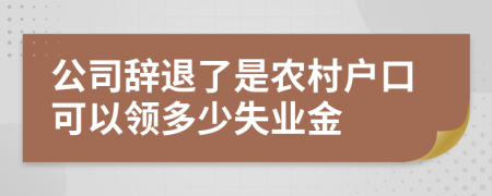 公司辭退了是農(nóng)村戶口可以領(lǐng)多少失業(yè)金