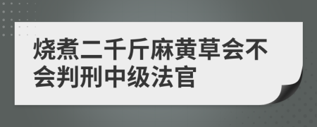 燒煮二千斤麻黃草會(huì)不會(huì)判刑中級(jí)法官