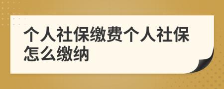 個人社保繳費個人社保怎么繳納