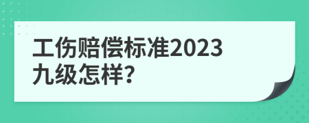 工傷賠償標準2023九級怎樣？