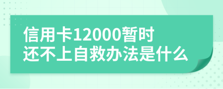 信用卡12000暫時(shí)還不上自救辦法是什么