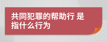  共同犯罪的幫助行 是指什么行為