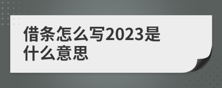 借條怎么寫(xiě)2023是什么意思