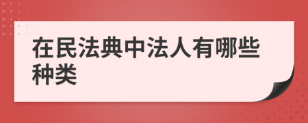 在民法典中法人有哪些種類