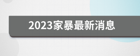 2023家暴最新消息