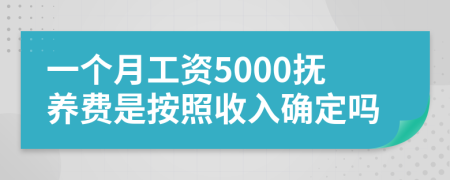 一個(gè)月工資5000撫養(yǎng)費(fèi)是按照收入確定嗎